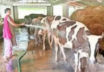 ക്ഷീര കർഷക സൂര്യ