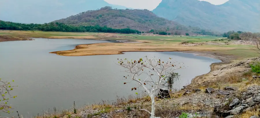 വേനലിൽ വെള്ളമിറങ്ങിത്തുടങ്ങിയ മലമ്പുഴ അണക്കെട്ടിന്റെ ആനക്കൽ ഭാഗത്തെ കാഴ്ച 