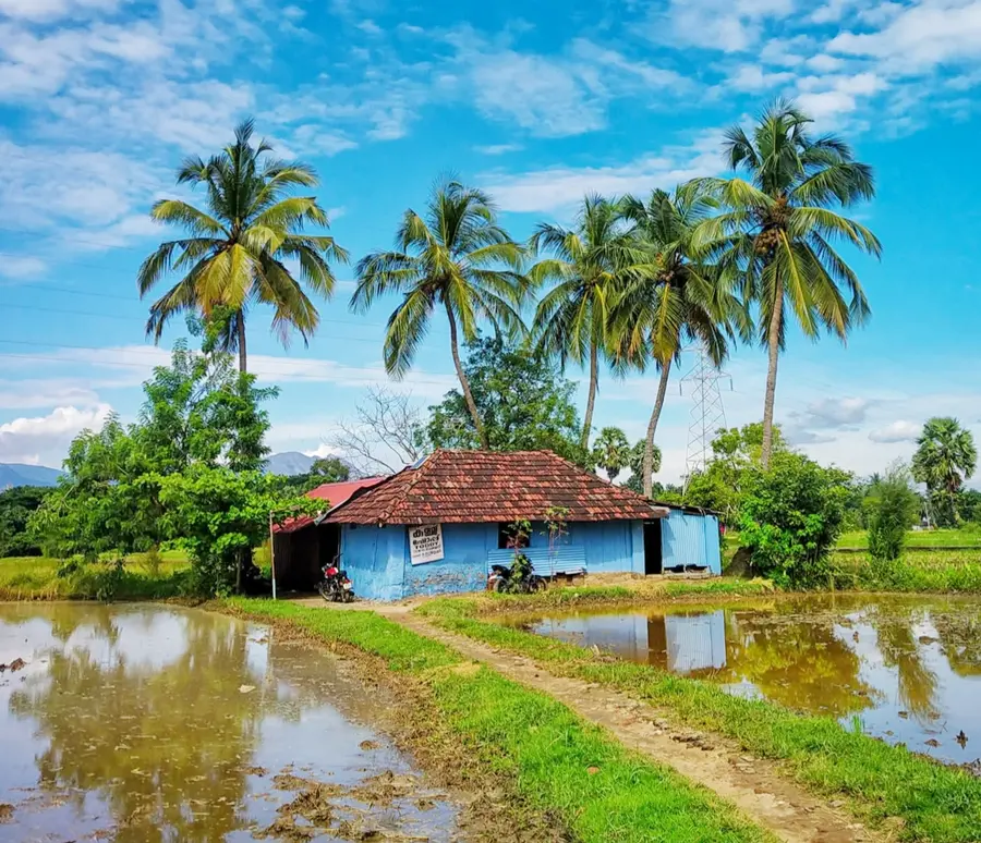 കൊടുമ്പ് ഓലശേരി കള്ള്ഷാപ്പ് 