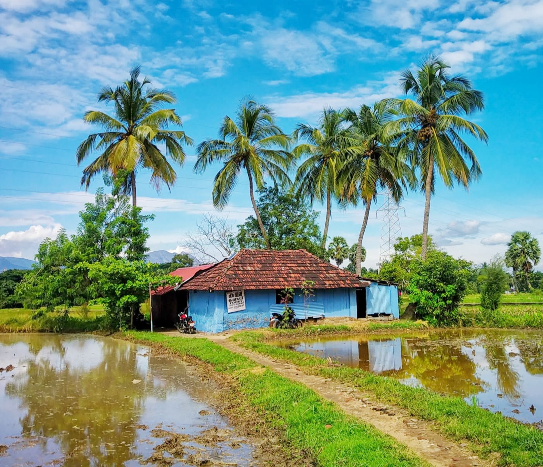 കൊടുമ്പ് ഓലശേരി കള്ള്ഷാപ്പ് 