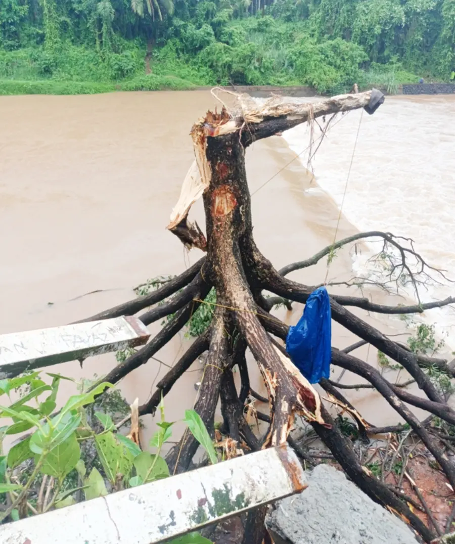 The monsoon is gaining strength in the district.