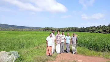 കുഞ്ഞിമംഗലം തെക്കേവയൽ പാടശേഖരത്തിൽ പാടശേഖര സമിതി പ്രവർത്തകർ 