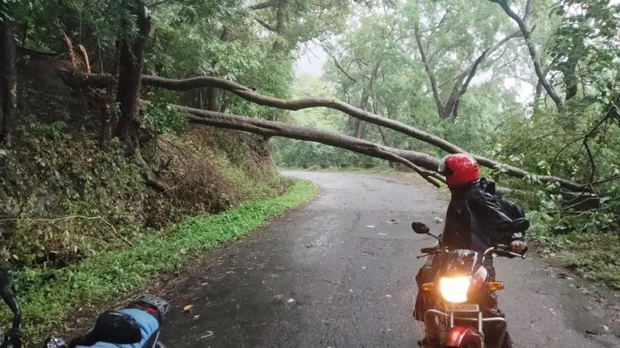 Heavy Rain