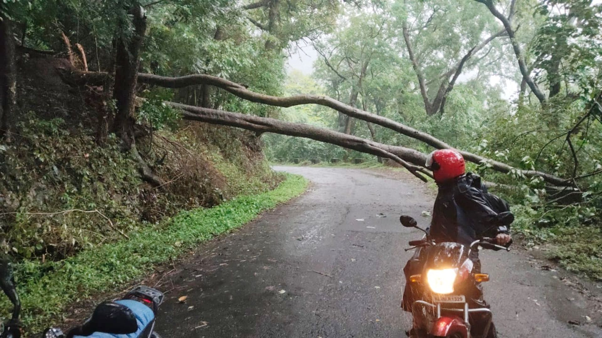 Heavy Rain