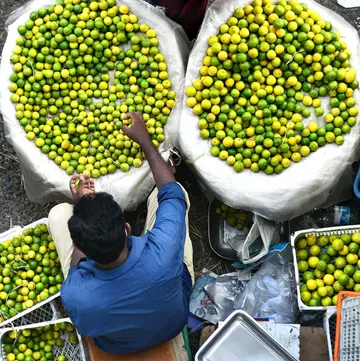 Cool bars face a crisis as the price of lemons skyrockets.