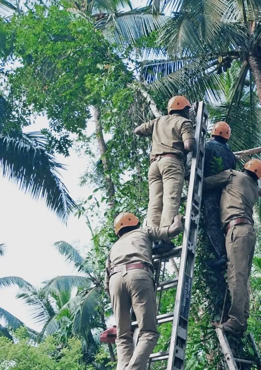 Man rescued after his arm got trapped in a broken tree branch