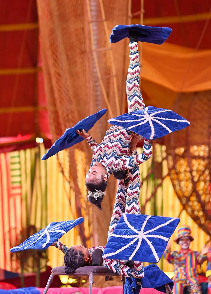 Astonishing sights that leave everyone amazed are unfolding in the tent set up near Tagore Hall.