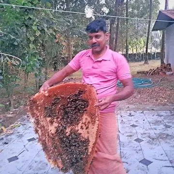 നാണിയിൽ പ്രകാശൻ