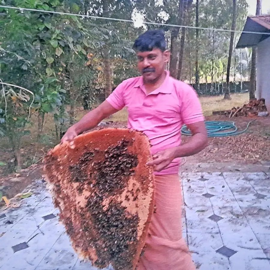 നാണിയിൽ പ്രകാശൻ