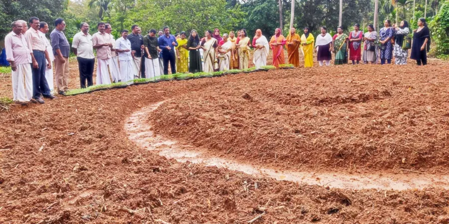 Kudumbashree farmers prepare to welcome Onam with prosperity