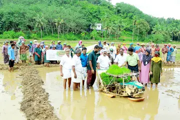 തരിശുരഹിത ചെങ്ങളായി പദ്ധതിയുടെ ഭാഗമായി വിത്തിറക്കുന്നു