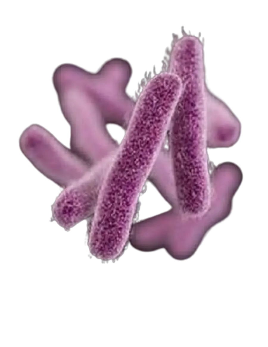 Two people confirmed to have Shigella