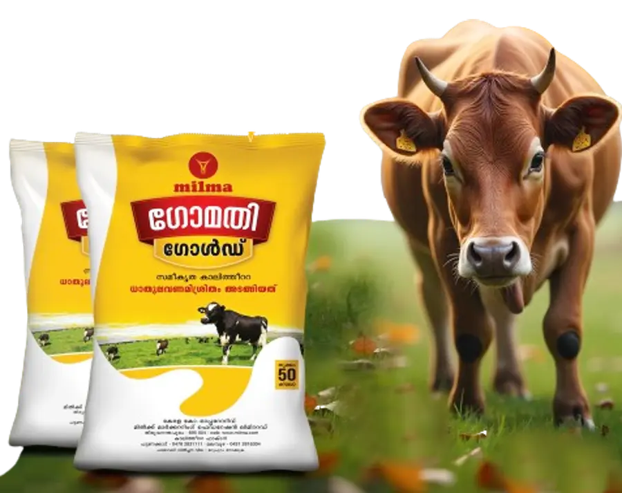 Subsidized cattle feed