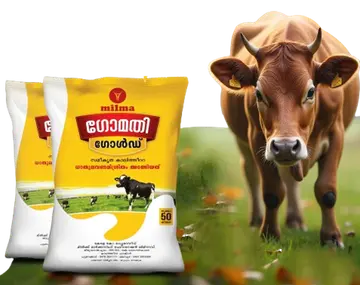 Subsidized cattle feed
