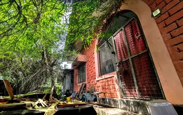 The grandmother, who used to glow in the colors of the paintings, is now surrounded by a forest.