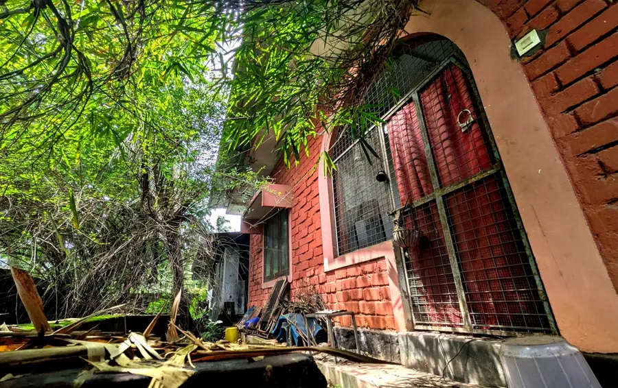 The grandmother, who used to glow in the colors of the paintings, is now surrounded by a forest.