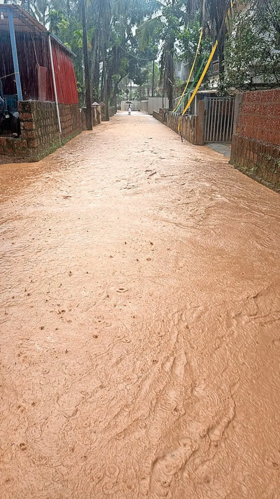 കുപ്പം സി എച്ച് നഗറിൽ
വെള്ളംകയറിയ നിലയിൽ