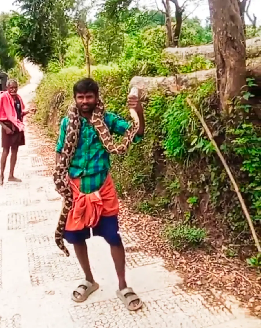 പാമ്പിനെ കഴുത്തിലിട്ടുനിൽക്കുന്ന പൊന്നുസ്വാമി