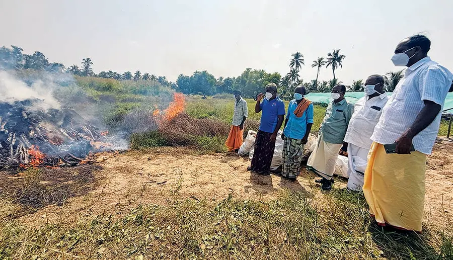 രോഗബാധയുള്ള താറാവിൻകുഞ്ഞുങ്ങളെ കൊന്ന് സംസ്‌കരിക്കുന്നു