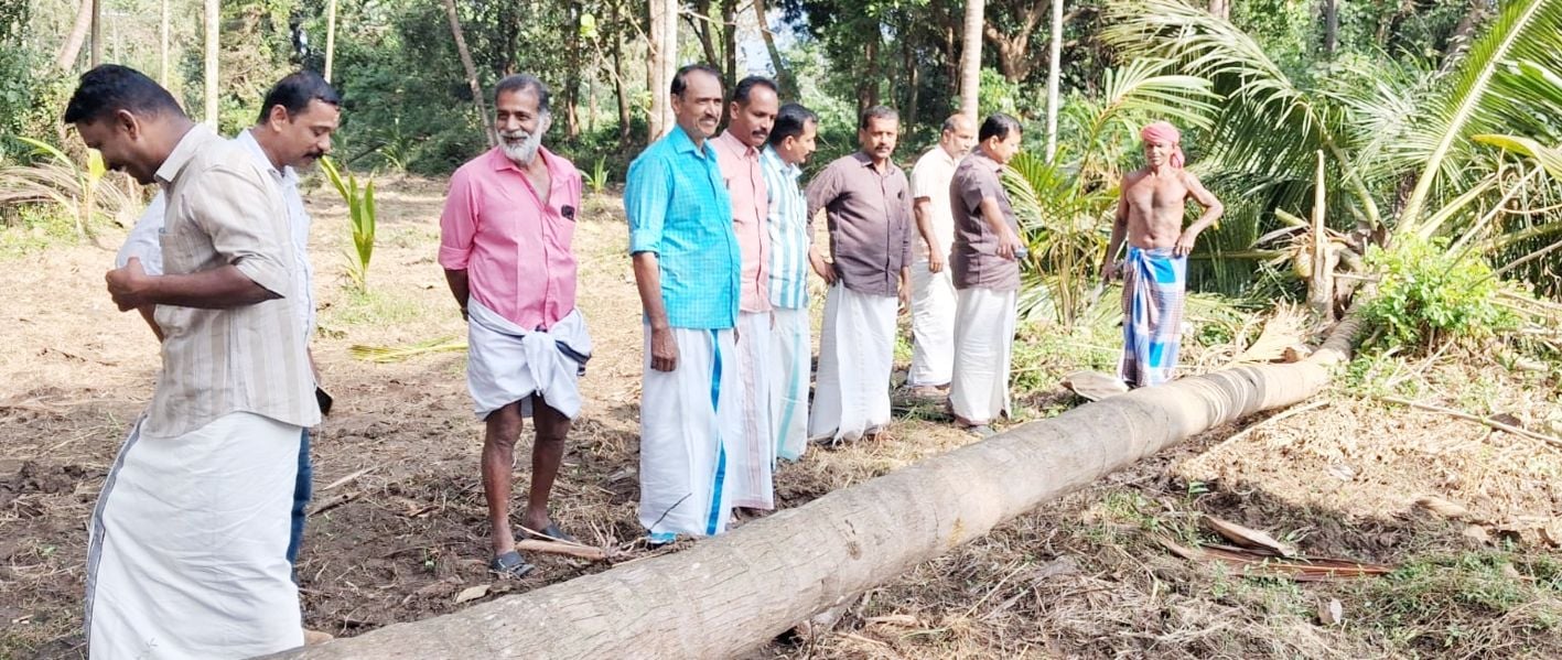 ആന തെങ്ങ് കുത്തി മറിച്ചിട്ട കിഷോറിന്റെ കൃഷിയിടം കർഷകസംഘം നേതാക്കളും ജനപ്രതിനിധികളും സന്ദർശിക്കുന്നു