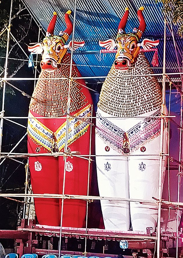ശിവരാത്രി മഹോത്സവത്തിനായി തയ്യാറാക്കുന്ന നന്ദികേശൻ