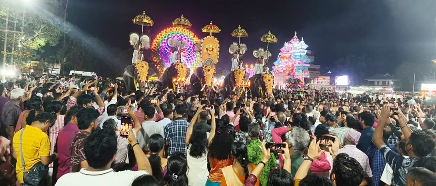 ചിനക്കത്തൂർ പൂരത്തോടനുബന്ധിച്ചുള്ള പൂരതാലപ്പൊലിയിൽനിന്ന്