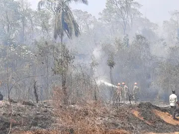 പള്ളത്തേരിയിൽ തീയണയ്ക്കുന്ന അഗ്നിരക്ഷാ സേനാംഗങ്ങൾ