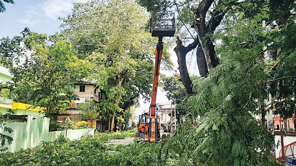 മാന്നാറിൽ സംസ്ഥാനപാതയിൽ ഭീഷണിയായ മരശിഖരങ്ങൾ മുറിച്ച് നീക്കുന്നു