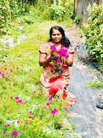 കൃഷി ചെയ്തെടുത്ത പത്തുമണി  പൂക്കളുമായി വിജയകല
