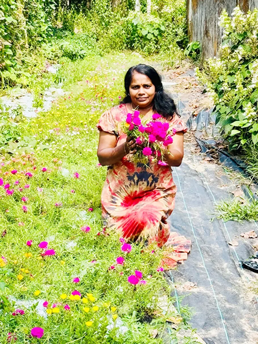 കൃഷി ചെയ്തെടുത്ത പത്തുമണി
പൂക്കളുമായി വിജയകല