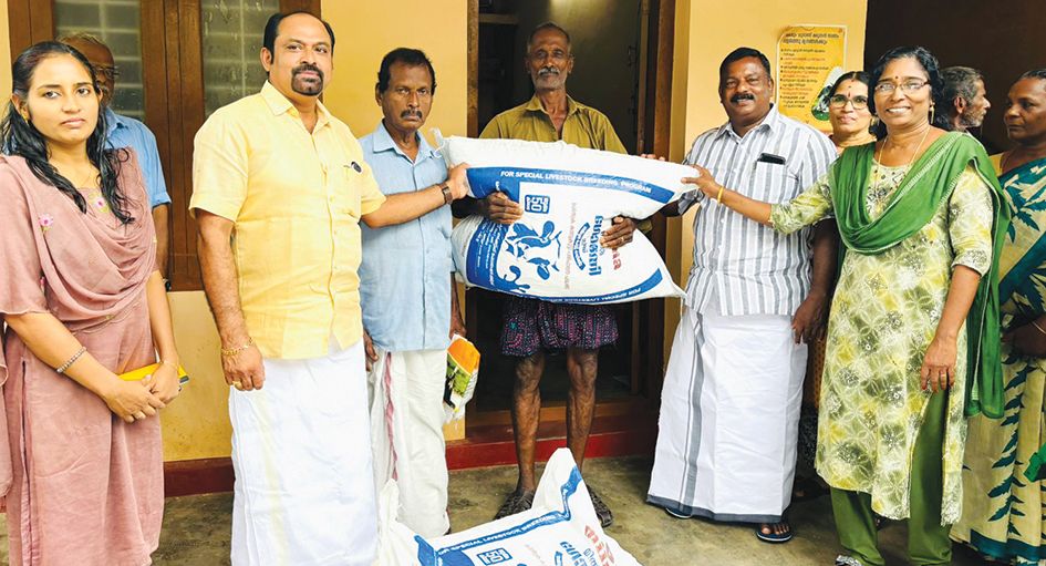 കാലിത്തീറ്റ വിതരണം പഞ്ചായത്ത് പ്രസിഡന്റ്‌ ബി കെ പ്രസാദ് ഉദ്ഘാടനംചെയ്യുന്നു 
