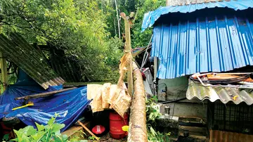 കാഞ്ഞിരക്കോട് വീടിന് മുകളിലേക്ക് തെങ്ങ് കടപുഴകി വീണ നിലയിൽ