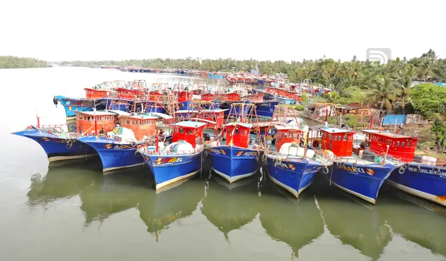ട്രോളിങ് നിരോധനത്തിന് മുന്നോടിയായി കടലിൽ നിന്ന് കൊല്ലം അഷ്ടമുടിക്കായൽ തീരത്ത് അടുപ്പിച്ച ബോട്ടുകൾ