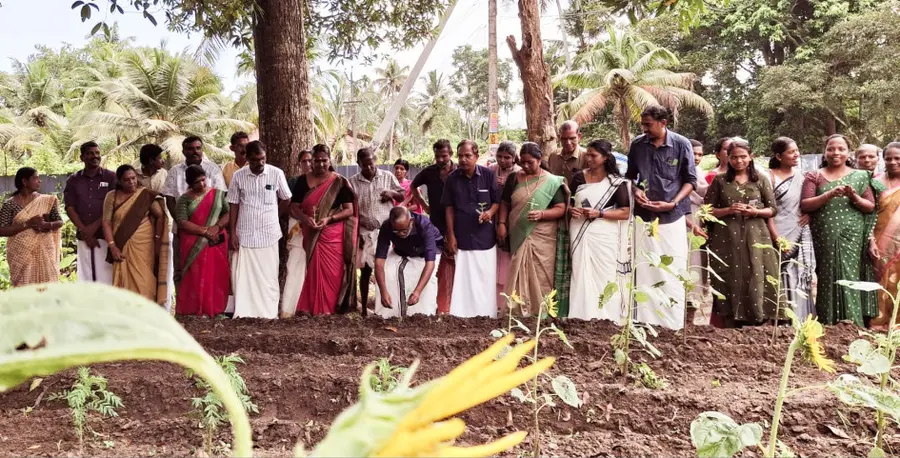 വയലാർ പഞ്ചായത്ത് ഒളതലയിൽ തുടങ്ങിയ ബന്ദിപ്പൂ കൃഷി തൈനട്ട് പി പ്രസാദ് എംഎൽഎ ഉദ്ഘാടനംചെയ്യുന്നു
