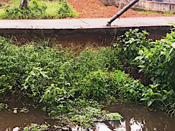സംരക്ഷണഭിത്തിയില്ലാത്തതിനാൽ അപകടാവസ്ഥയിലായ
തലവടി മുരിക്കോലുമുട്ട് – ബഥേൽ റോഡ്