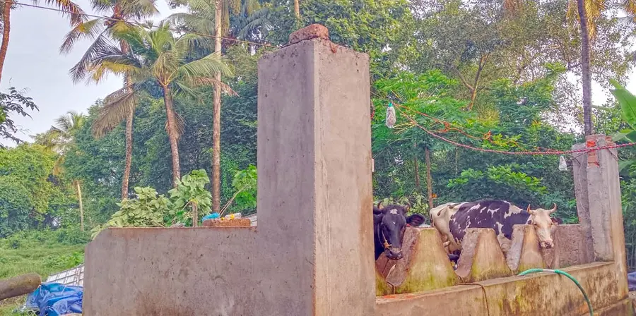 പരയ്ക്കാട് ഭാഗത്ത് വീശിയ മിന്നൽ ചുഴലിയിൽ തൊഴുത്തിന്റെ മേൽക്കൂര പറന്നുപോയ നിലയിൽ