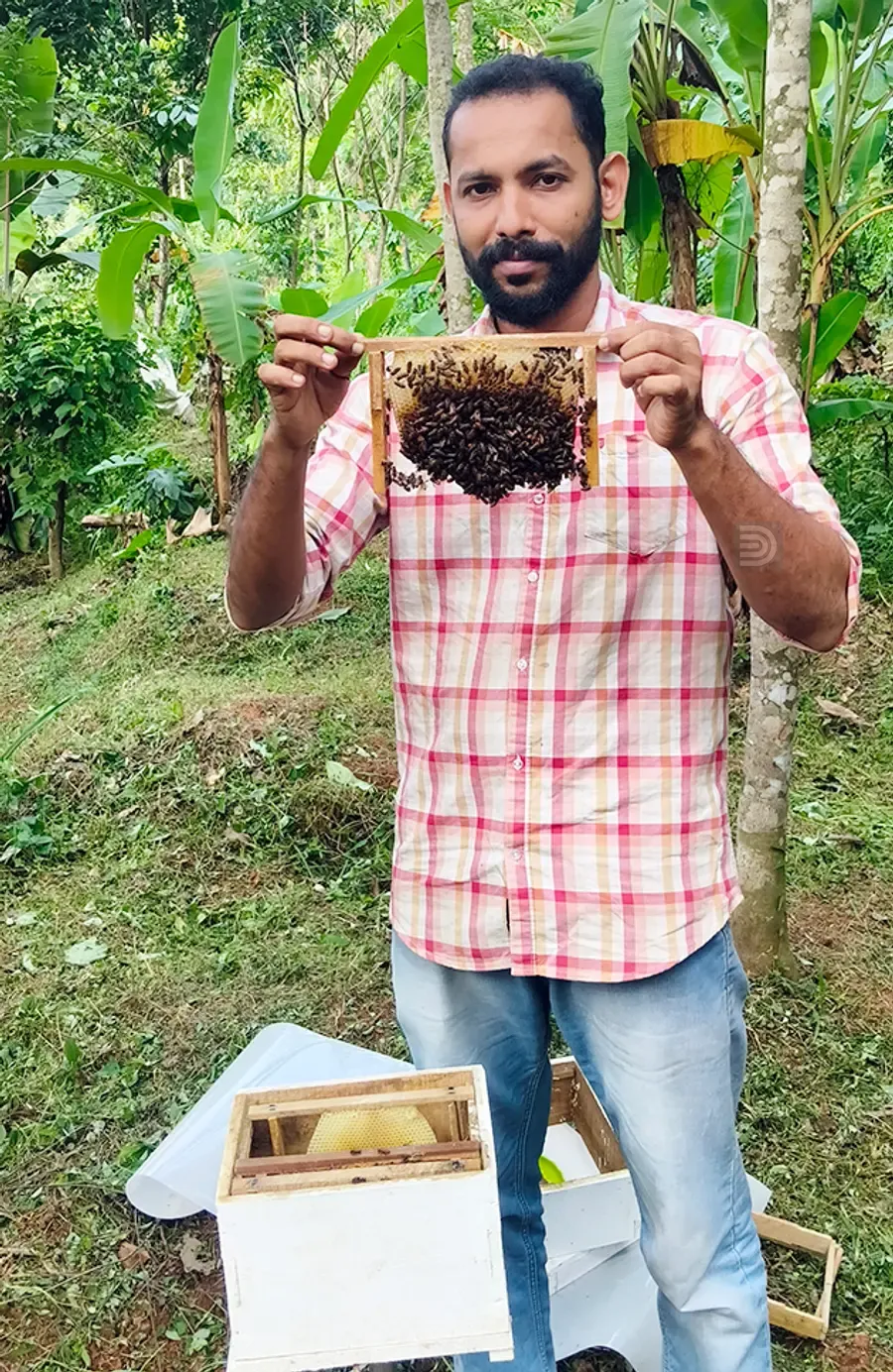 വി ജെ അഖിൽ തേൻ കൃഷി പരിപാലനത്തിൽ