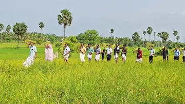 ചുട്ടിച്ചിറ വയലിലെ നിറപുത്തരി കൊയ്ത്ത്