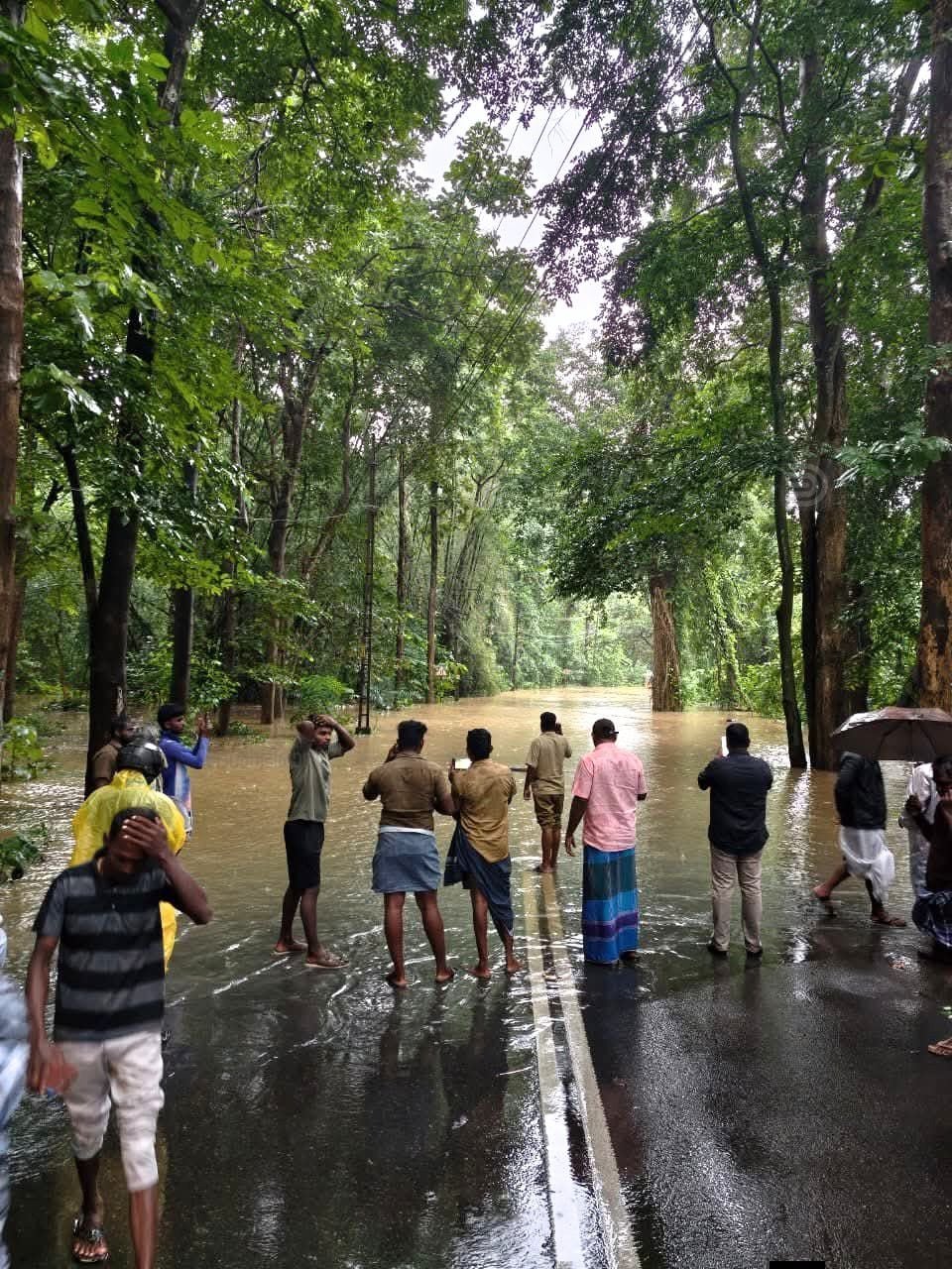 തിരുവനന്തപുരം– ചെങ്കോട്ട പാതയിൽ മുപ്പതടി പാലത്തിന്  സമീപം വെള്ളം കയറി ഗതാഗതം തടസ്സപ്പെട്ടപ്പോൾ 