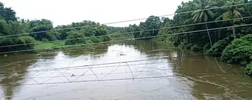 അച്ചൻകോവിലാറിന്റെ ഭാഗമായ ചെന്നിത്തല വലിയ പെരുമ്പുഴ ആറ്റിലെ ജലനിരപ്പ് ഉയർന്ന നിലയിൽ