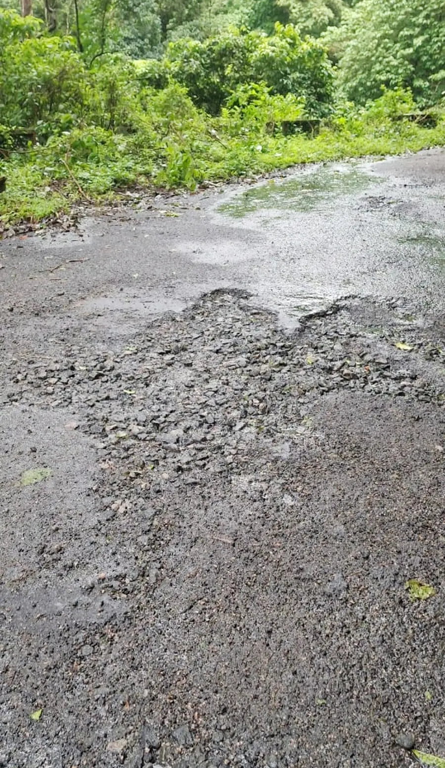 തകർന്ന നെല്ലിയാമ്പതി പാത