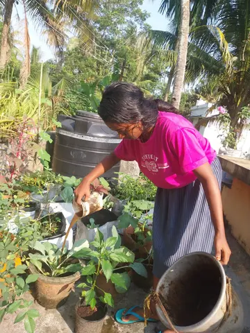അഷ്ടമി തന്റെ  പച്ചക്കറിത്തോട്ടത്തിൽ 