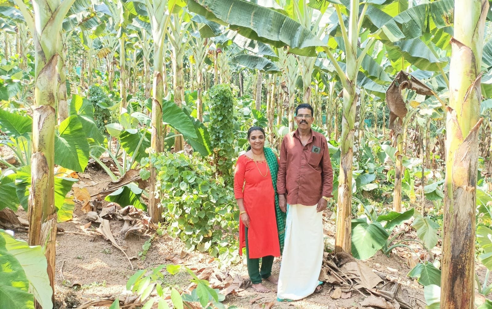 ബിജുവും ആൻസിയും കൃഷിത്തോട്ടത്തിൽ
