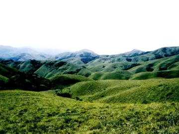 aa