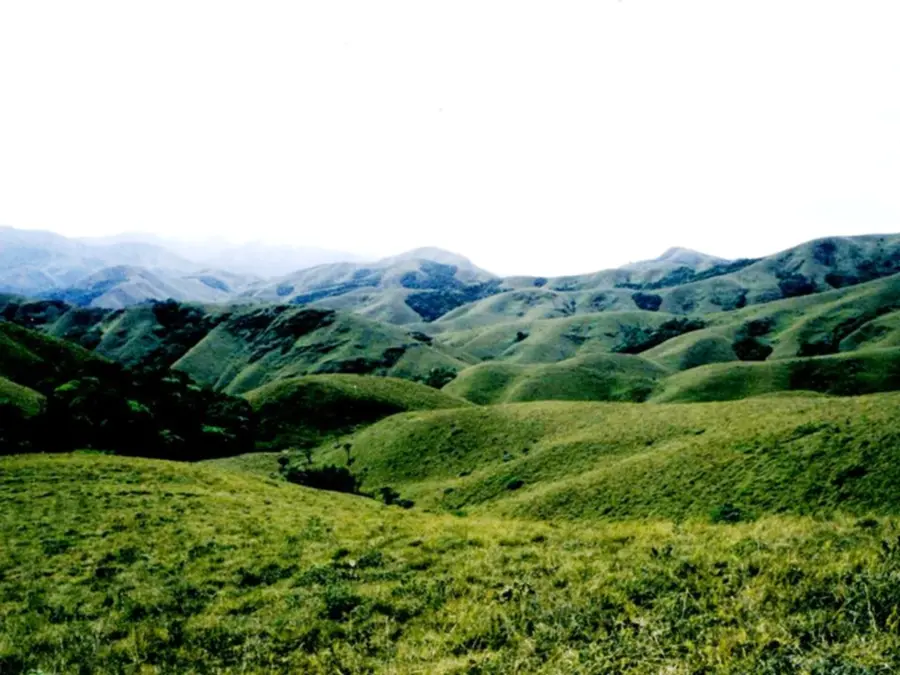 aa