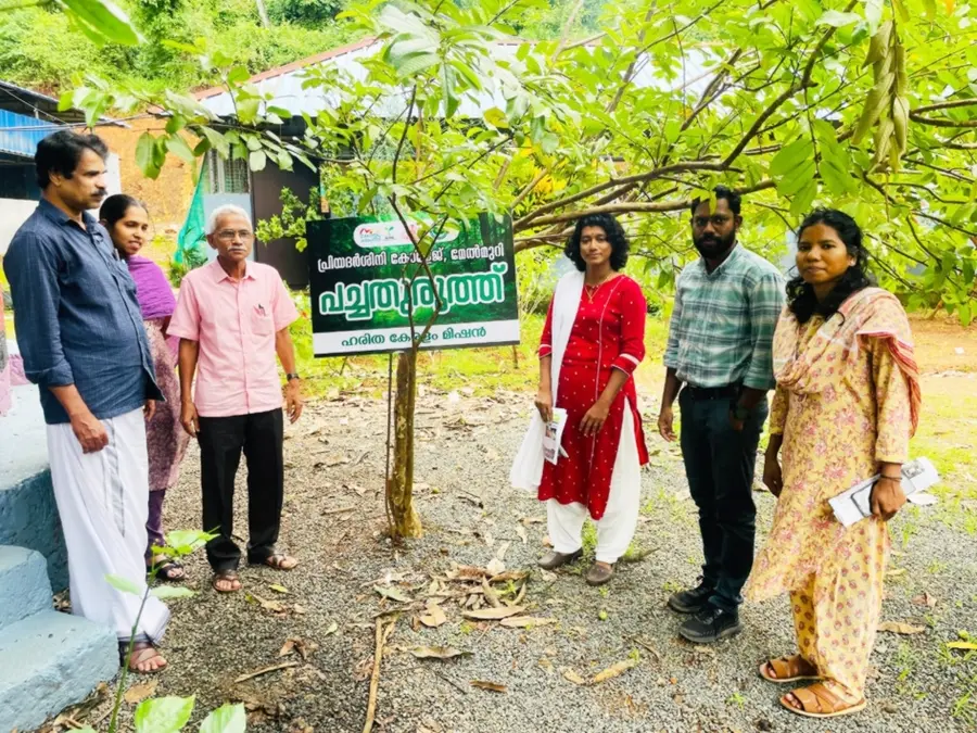 മേൽമുറി പ്രിയദർശിനി കോളേജിലെ പച്ചത്തുരുത്ത് (ഫയൽ ചിത്രം)