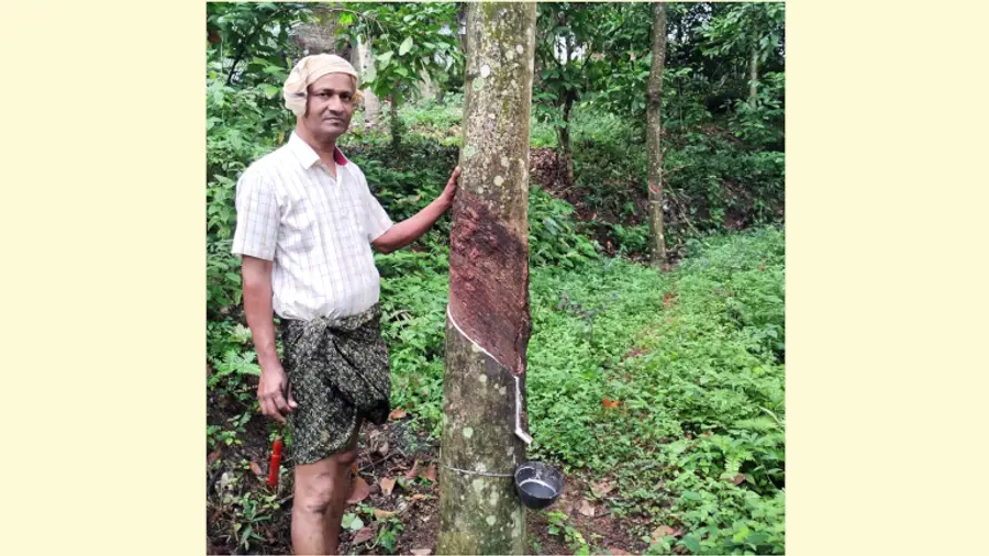അമ്പൂരി ബരേഹയിൽ വീട്ടിൽ ജോയി