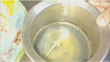 അമൃതംപൊടിയില്‍നിന്ന് കിട്ടിയ പല്ലി