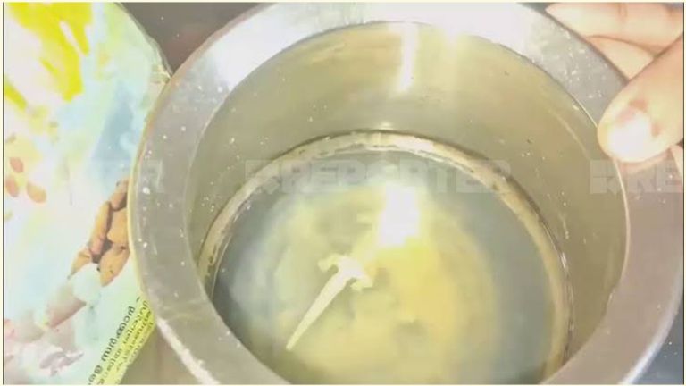 അമൃതംപൊടിയില്‍നിന്ന് കിട്ടിയ പല്ലി
