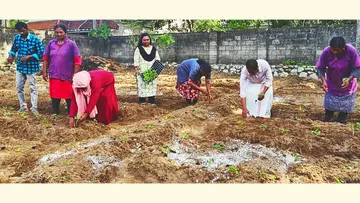 പെരുമാതുറയിൽ ഓണക്കൃഷിക്ക് തുടക്കമിടുന്നു ​ ​